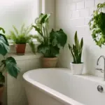 Piante verdi in bagno: quali specie resistono meglio all’umidità e poca luce?