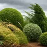 Quali piante ornamentali resistono al vento forte? Le varietà poco note che semplificano il verde in giardino