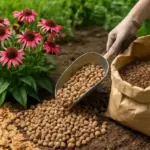 Pacciamatura di fiori perenni: materiali alternativi per risultati sorprendenti e duraturi